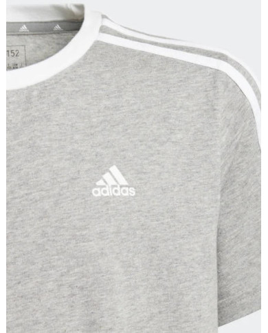 ADIDAS G 3S BF T IC3637
