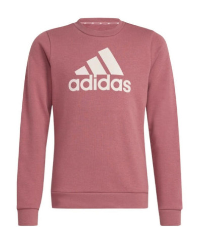 ADIDAS G BL SWT IZ3434
