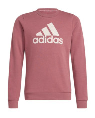 ADIDAS G BL SWT IZ3434
