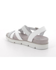 IGI&CO SANDALO 1167433
