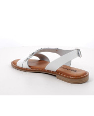 IGI&CO SANDALO 1183933
