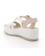 IGI&CO SANDALO 1164722
