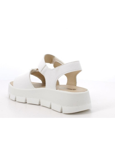 IGI&CO SANDALO 1160344
