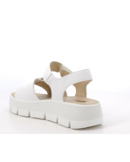 IGI&CO SANDALO 1160344

